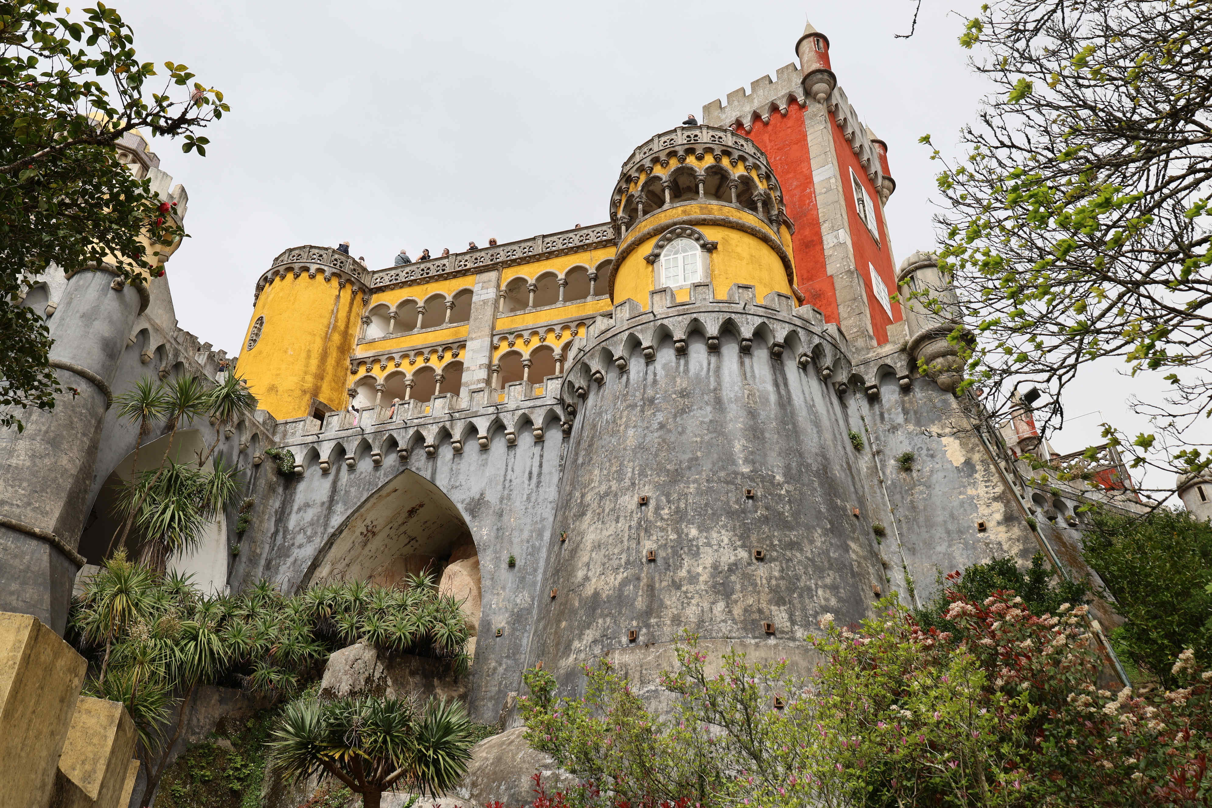Pena